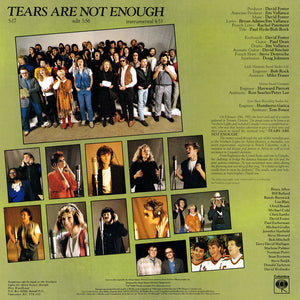 Northern Lights - Tears Are Not Enough - 1985