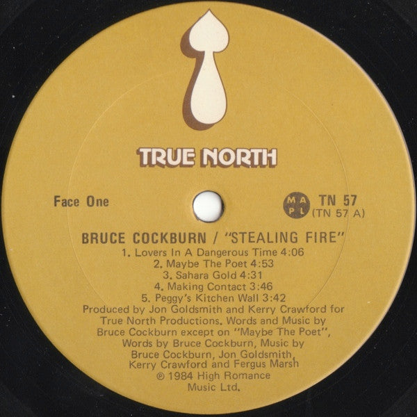 Bruce Cockburn - Stealing Fire