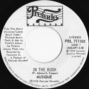 Musique - In The Bush
