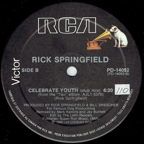 Rick Springfield - Celebrate Youth