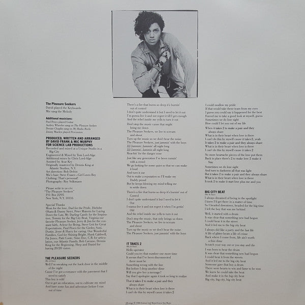 System, The - The Pleasure Seekers - 1985