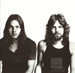 Pink Floyd - Meddle - 2025
