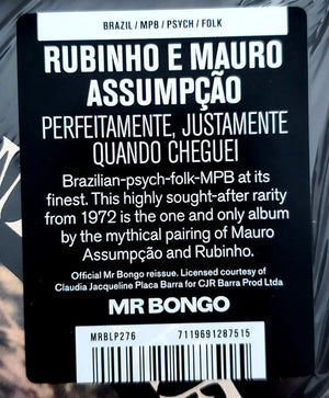 Rubinho E Mauro Assumpção - Perfeitamente, Justamente Quando Cheguei - 2023