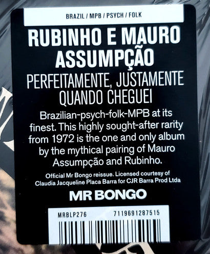 Rubinho E Mauro Assumpção - Perfeitamente, Justamente Quando Cheguei - 2023