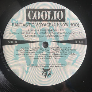 Coolio - Fantastic Voyage Vinyl Record