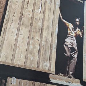 Leon Bridges - Leon Vinyl Record