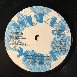 Ny Gel - Who Knows Where The Wind Blows - 1995