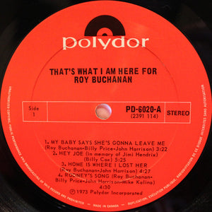 Roy Buchanan - That's What I Am Here For - 1973