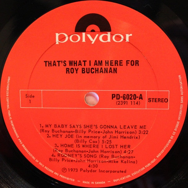 Roy Buchanan - That's What I Am Here For - 1973