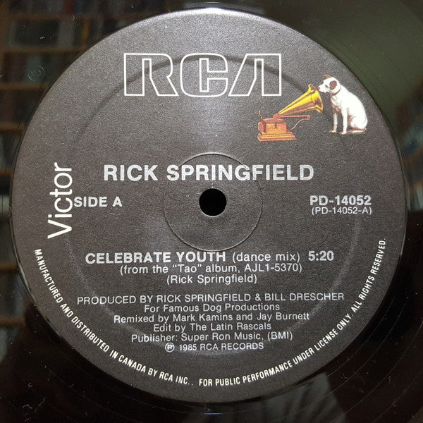 Rick Springfield - Celebrate Youth