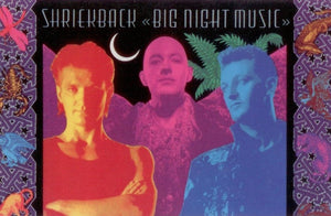 Shriekback - Big Night Music Vinyl Record