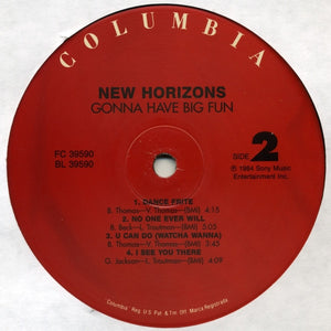 New Horizons - Gonna Have Big Fun - 2006