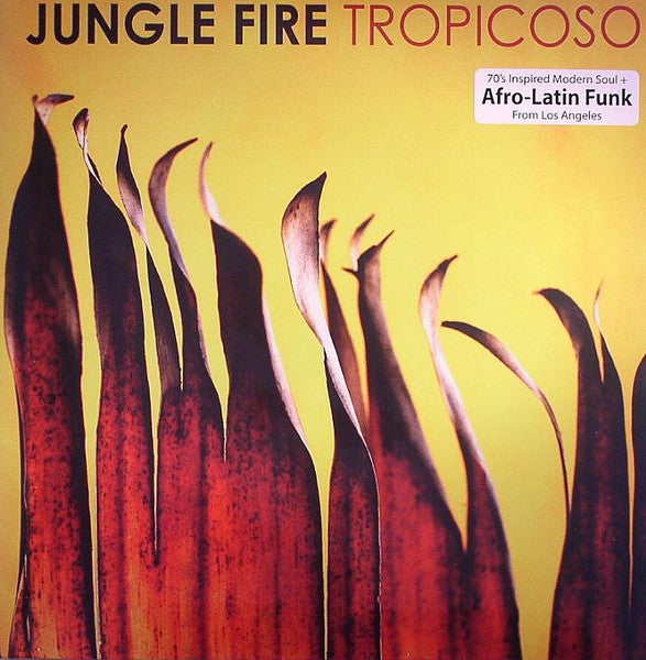 Jungle Fire - Tropicoso - 2014