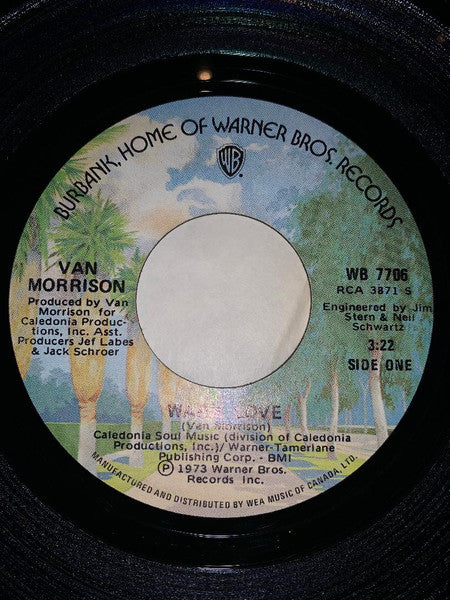 Van Morrison - Warm Love