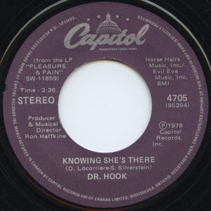 Dr. Hook - When You're In Love With A Beautiful Woman