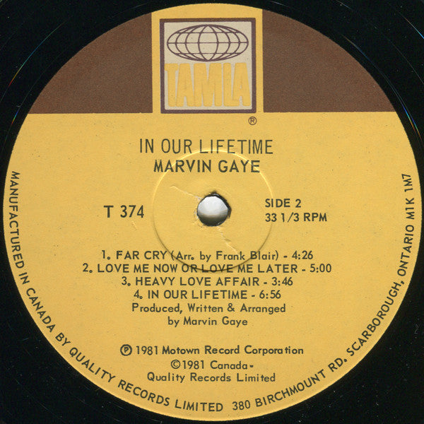 Marvin Gaye - In Our Lifetime