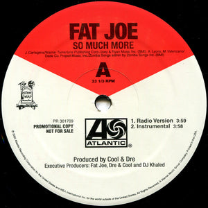 Fat Joe - So Much More