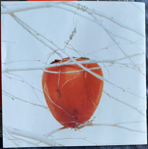 Savage Garden - Savage Garden (CD) - 1997
