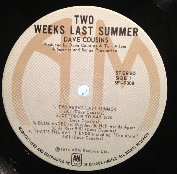 Dave Cousins - Two Weeks Last Summer -