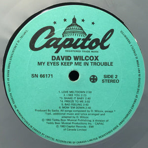 David Wilcox - My Eyes Keep Me In Trouble -