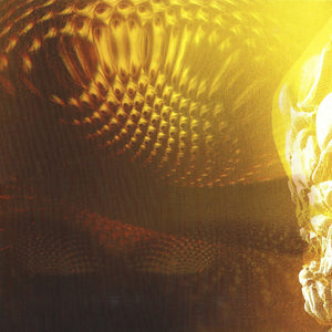 Tool - Fear Inoculum - 2022