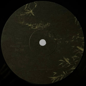 Ethel Cain - Willoughby Tucker, I'll Always Love You - 2025
