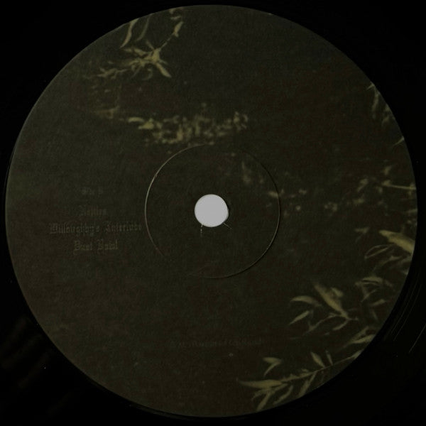 Ethel Cain - Willoughby Tucker, I'll Always Love You - 2025
