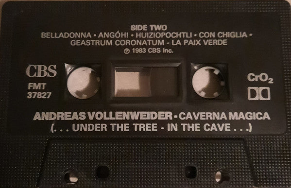 Andreas Vollenweider - Caverna Magica (...Under The Tree - In The Cave...) -