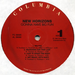 New Horizons - Gonna Have Big Fun - 2006