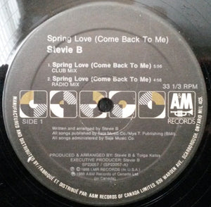 Stevie B - Spring Love (Come Back To Me)