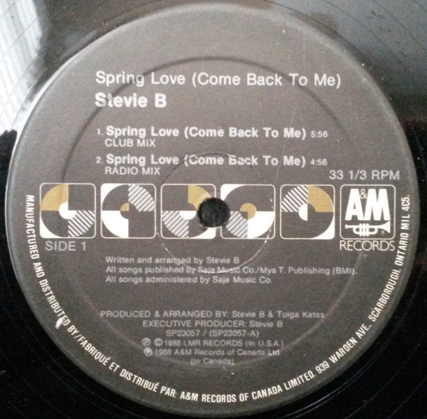 Stevie B - Spring Love (Come Back To Me)