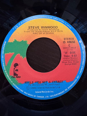 Steve Winwood - While You See A Chance