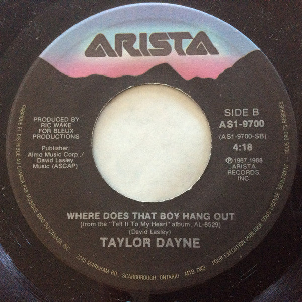 Taylor Dayne - I'll Always Love You - 1988