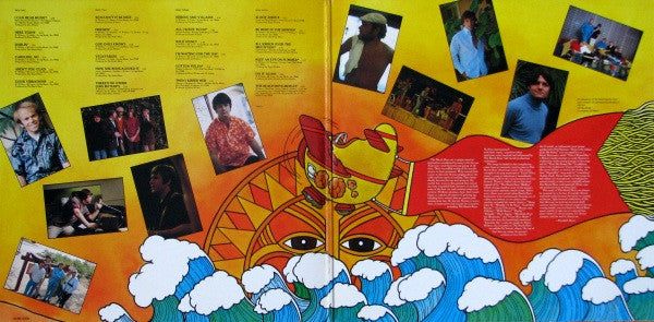 The Beach Boys - Sunshine Dream Vinyl Record