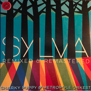 Snarky Puppy - Sylva (Remixed & Remastered)