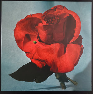 Metz - Up On Gravity Hill - 2024