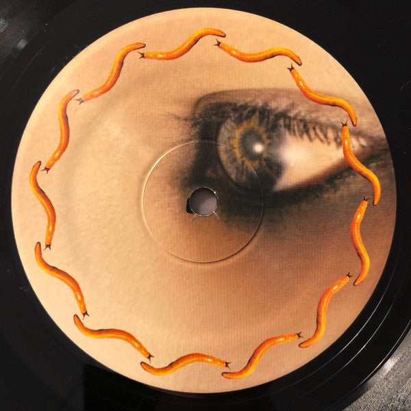 A Perfect Circle - Thirteenth Step - 2019
