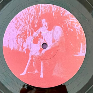 Fruit Bats - The Pet Parade
