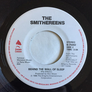 The Smithereens - Behind The Wall Of Sleep