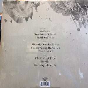 If These Trees Could Talk - The Bones Of A Dying World Vinyl Record