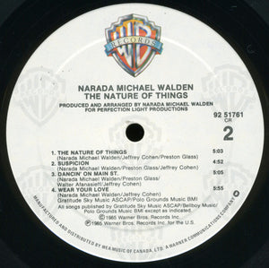 Narada Michael Walden - The Nature Of Things