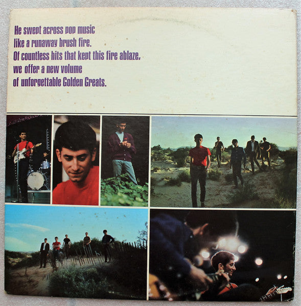 Gary Lewis & The Playboys - More Golden Greats - 1968