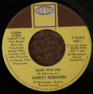 Smokey Robinson - Being With You