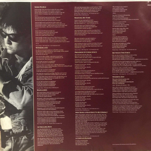 Paul Young - Between Two Fires