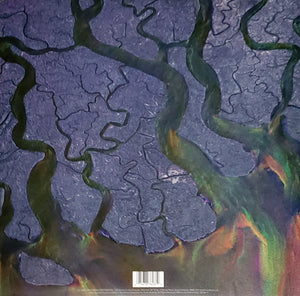 Alt-J - An Awesome Wave Vinyl Record