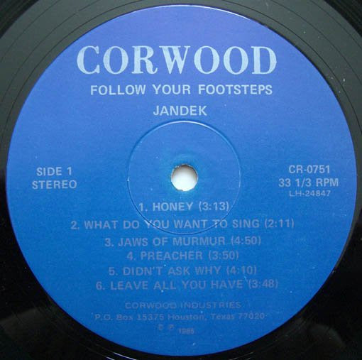 Jandek - Follow Your Footsteps
