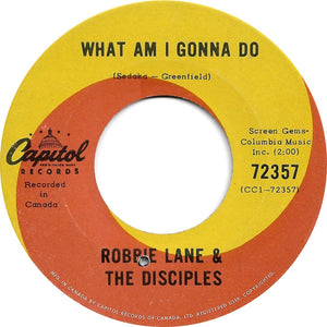 Robbie Lane & The Disciples - What Am I Gonna Do Vinyl Record