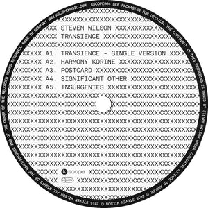 Steven Wilson - Transience - 2015
