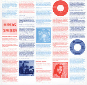 Various - Forge Your Own Chains (Heavy Psychedelic Ballads And Dirges 1968-1974) - 2009