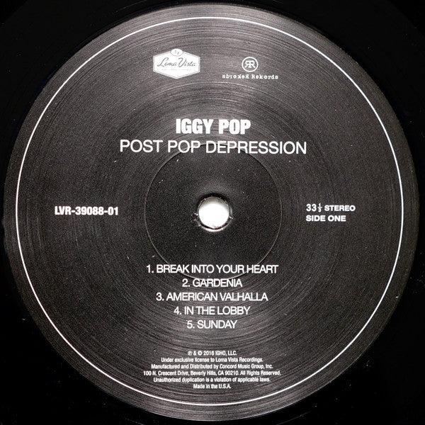 Iggy Pop - Post Pop Depression - 2016